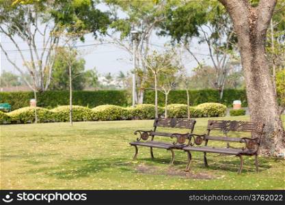 Benches on the lawn Under the big tree in the park.