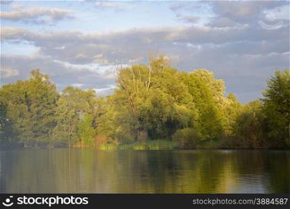 Bend of the river in a forest in the rays of the setting sun. River in the forest