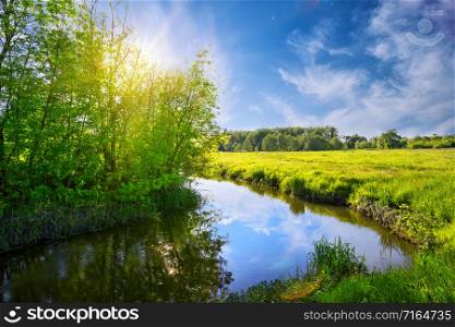Bend of the river with green trees and a meadow on the shore. Bright day sun. Summer landscape. Bend of river with green trees and meadow on shore
