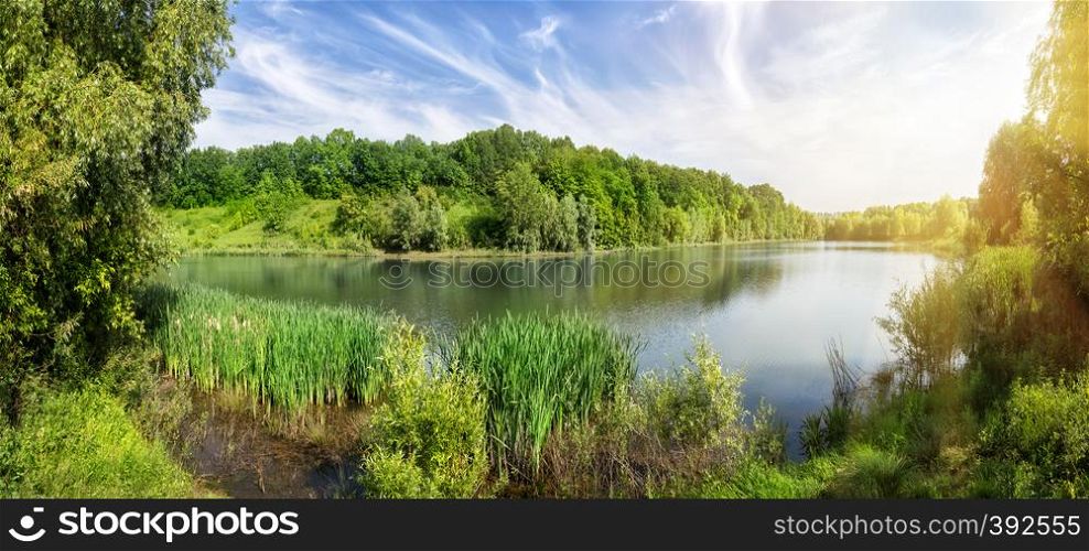 Bend of the river with green trees on the shore under the bright sun. Summer landscape with a lake and seagulls. The concept of relaxation and wildlife.. Bend of the river with green trees on the shore under the bright