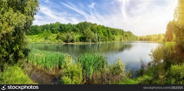 Bend of the river with green trees on the shore under the bright sun. Summer landscape with a lake and seagulls. The concept of relaxation and wildlife.. Bend of the river with green trees on the shore under the bright
