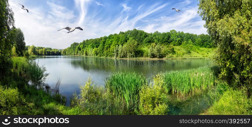 Bend the river with green trees on the shore. Summer landscape with a lake and seagulls. The concept of relaxation and wildlife.. Bend the river with green trees on the shore