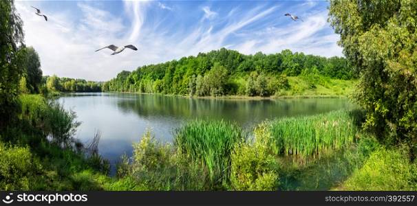 Bend the river with green trees on the shore. Summer landscape with a lake and seagulls. The concept of relaxation and wildlife.. Bend the river with green trees on the shore