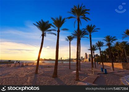 Benidorm Alicante playa de Poniente beach sunset in Spain with palm trees