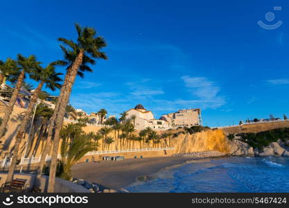 Benidorm Alicante playa del Mal Pas beach at sunset in Spain with palm trees