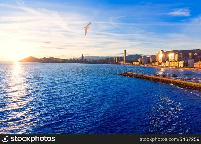 Benidorm Alicante sunset playa de Poniente beach in Spain Valencian community