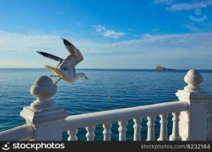 Benidorm Mirador del Castillo Mediterranean lookout point in Alicante Spain