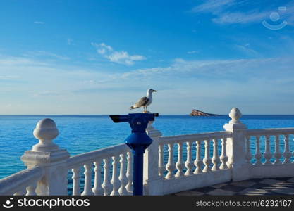 Benidorm Mirador del Castillo Mediterranean lookout point in Alicante Spain