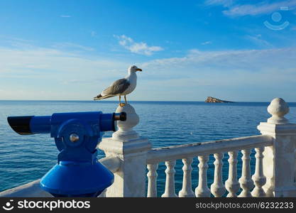 Benidorm Mirador del Castillo Mediterranean lookout point in Alicante Spain