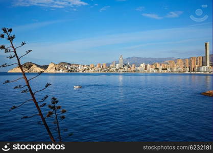 Benidorm Poniente beach in Alicante Mediterranean of Spain