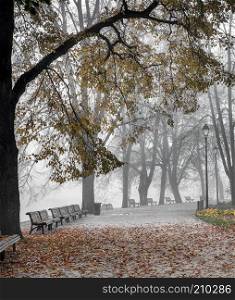Bernardine gardens,Vilnia River, Vilnius, Lithuania. Gold autumn time, early morning mist.