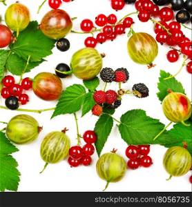 berries black and red currants, gooseberries and blackberries isolated on white background