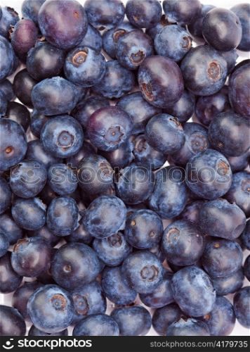 Berries of a bilberry