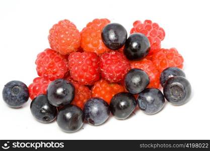 Berries of a fresh raspberry and bilberry close up on a white background