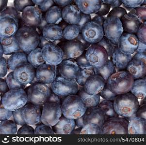 berries of bilberry