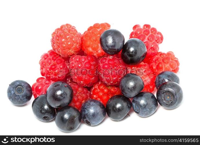 berries of raspberry and bilberry on white background