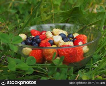 Berries on the grass