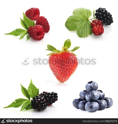 Berries on white background - close-up