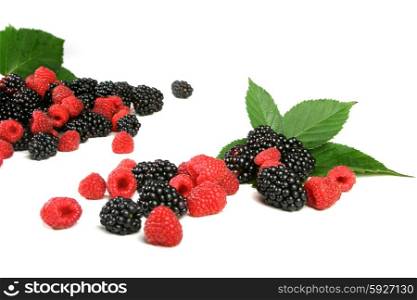 Berries on white backround - studio shot
