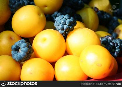 Berry and fruits