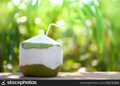 Beverage fresh coconut juice drinking / Young coconut fruit on summer nature green background