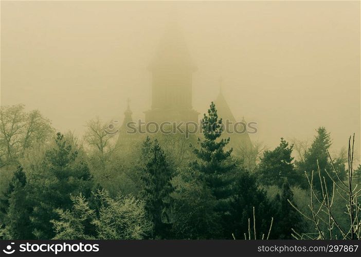 Beyound the trees a church in the mist. Winter scene. Metropolitan Orthodox Cathedral from Timisoara