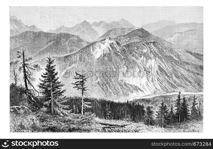 Bialki Valley as viewed from the Tatra Mountains in Tatra, Poland, drawing by G. Vuillier, from a photograph by Dr. Gustave le Bon, vintage engraved illustration. Le Tour du Monde, Travel Journal, 1881