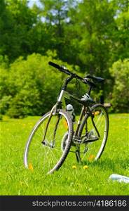 bicycle at sunny park