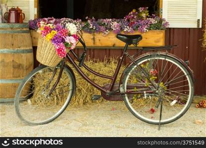 bicycle Be filled with basket flowers in Barn