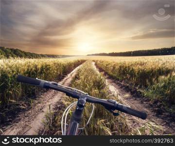 Bicycle handlebar on the background of country road with spikelets of wheat under the sunset sky. Bicycle handlebar on the background of a country road with spike