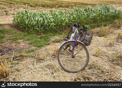 Bicycle in a field, Zhigou, Shandong Province, China