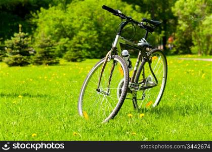 bicycle on grass at sunny summer park