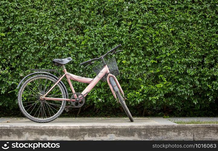 bicycle on leaf wall background
