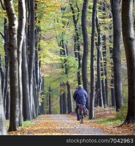 bicycle on road in autumnal forset near austerlitz on utrechtse heuvelrug in the netherlands