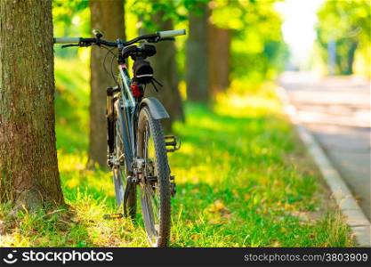 bicycle parked near a tree in the park in the morning