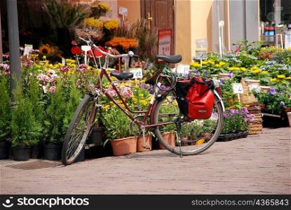 Bicycle parked out front of florist market stall