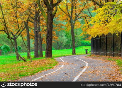 bicycle path in an empty yellow autumn park