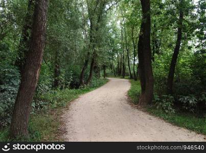 Bicycle path in park near the Vistula River, Warsaw, Poland