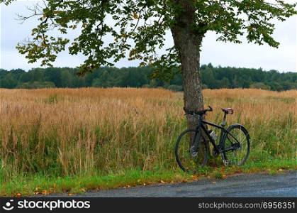 Bicycle travel, black bike by the tree near the road. black bike by the tree near the road, Bicycle travel