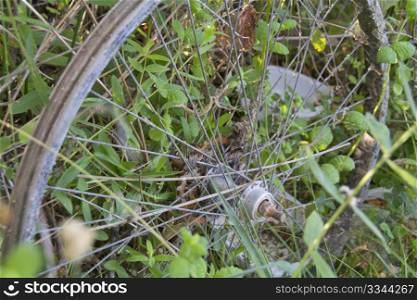 bicycle wheel abandoned in the field with lots of greenery