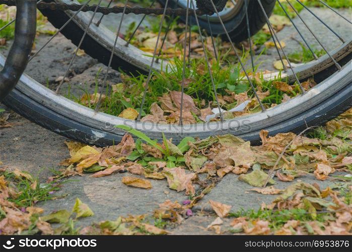Bicycle wheels with many dry leaves on the pavement on autumn day.