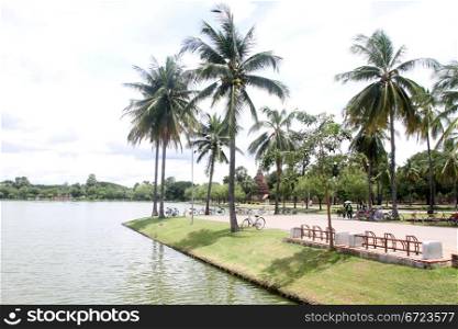 Bicycles and palm trees in Historical park Sukhotai, Thailand