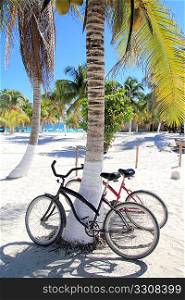 bicycles bike on coconut palm tree caribbean beach background