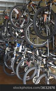 Bicycles on display in a bike store