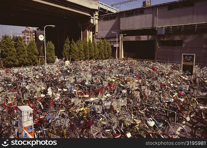 Bicycles parked in a parking lot, Kyoto Prefecture, Japan