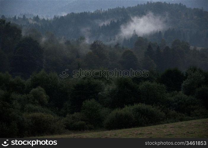 Bieszczady Mountains National Park,Poland