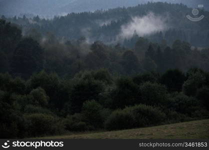 Bieszczady Mountains National Park,Poland