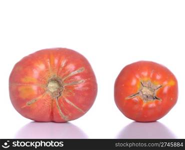 big and small biological tomatoes isolated on white background
