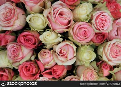 big arrangement of pink roses, perfect as a background