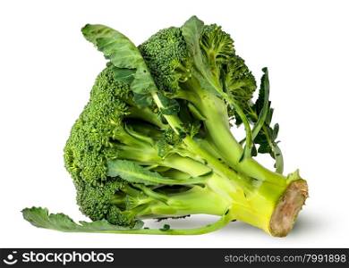 Big broccoli florets with leaves isolated on white background